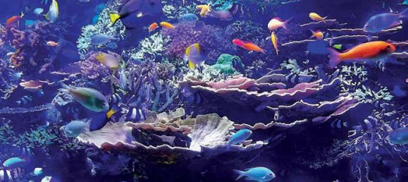 Studio à Business Bay, UAE No. 7355 14