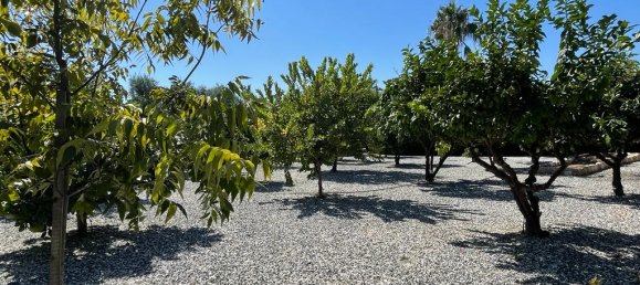 Villa de 3 dormitorios en Paphos, Cyprus No. 1415 3