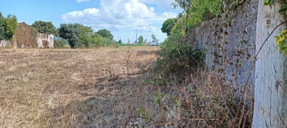 1944m² Land in Ilhavo, Portugal No. 271230 17