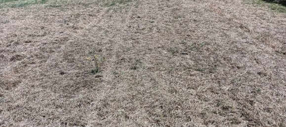 1944m² Land in Ilhavo, Portugal No. 271230 5