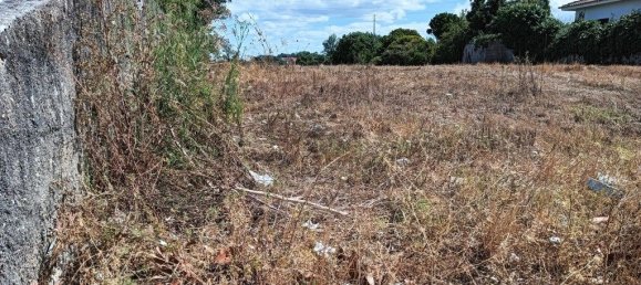 1944m² Land in Ilhavo, Portugal No. 271230 14