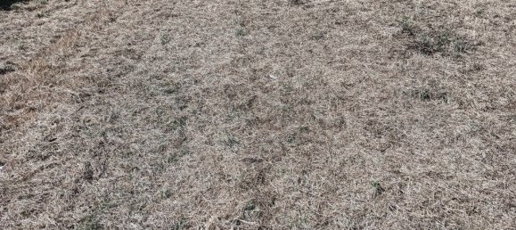 1944m² Land in Ilhavo, Portugal No. 271230 4