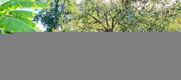 Casa T3 em Mer, France N.º 249147 10