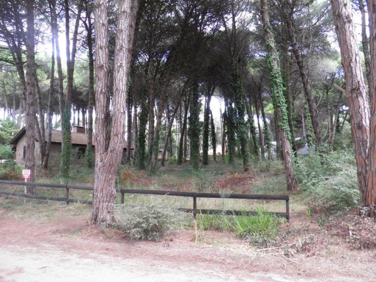 Grundstück in Mar del Plata, Argentina, Nr. 110986