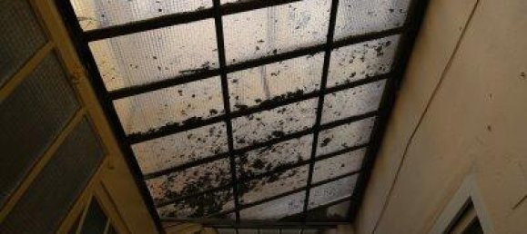 3غرفة شقة في Mariahilf, Austria رقم 179337 15