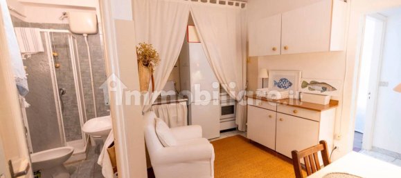 1 غرف نوم بانتهاوس في Celle Ligure, Italy رقم 354719 6