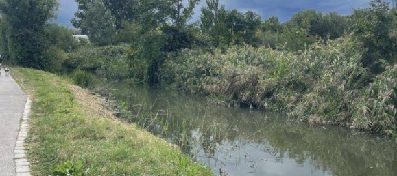 3 rooms Duplex in Guntramsdorf, Austria No. 244032 24