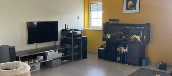 3 rooms Duplex in Guntramsdorf, Austria No. 244032 7