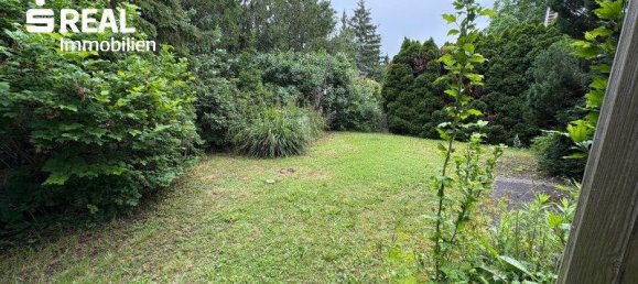 3-Zimmer Haus in Klosterneuburg, Austria, Nr. 169230 5