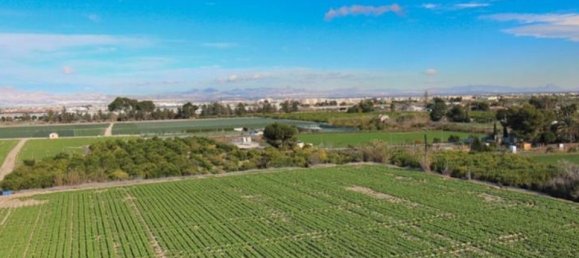 1 bedroom Apartment in Algorfa, Spain No. 183097 16