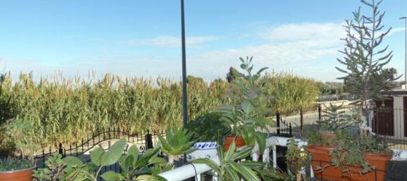 1 bedroom Apartment in Algorfa, Spain No. 183097 6