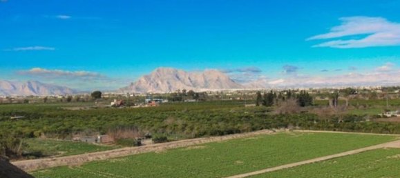 1 bedroom Apartment in Algorfa, Spain No. 183097 3