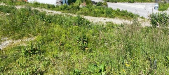  Land in Wattenberg, Austria No. 166135 5