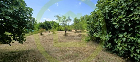 2 bedrooms House in Saint-Bonnet-sur-Gironde, France No. 282306 10