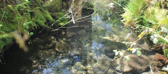 8797m² Land in Fafe, Portugal No. 36950 7