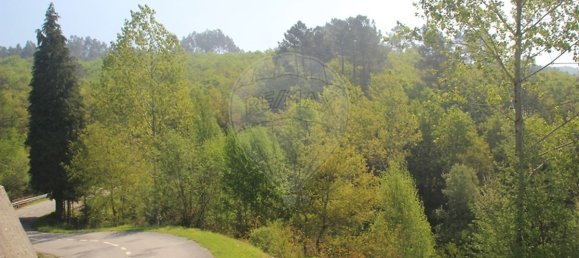 8797m² Land in Fafe, Portugal No. 36950 10