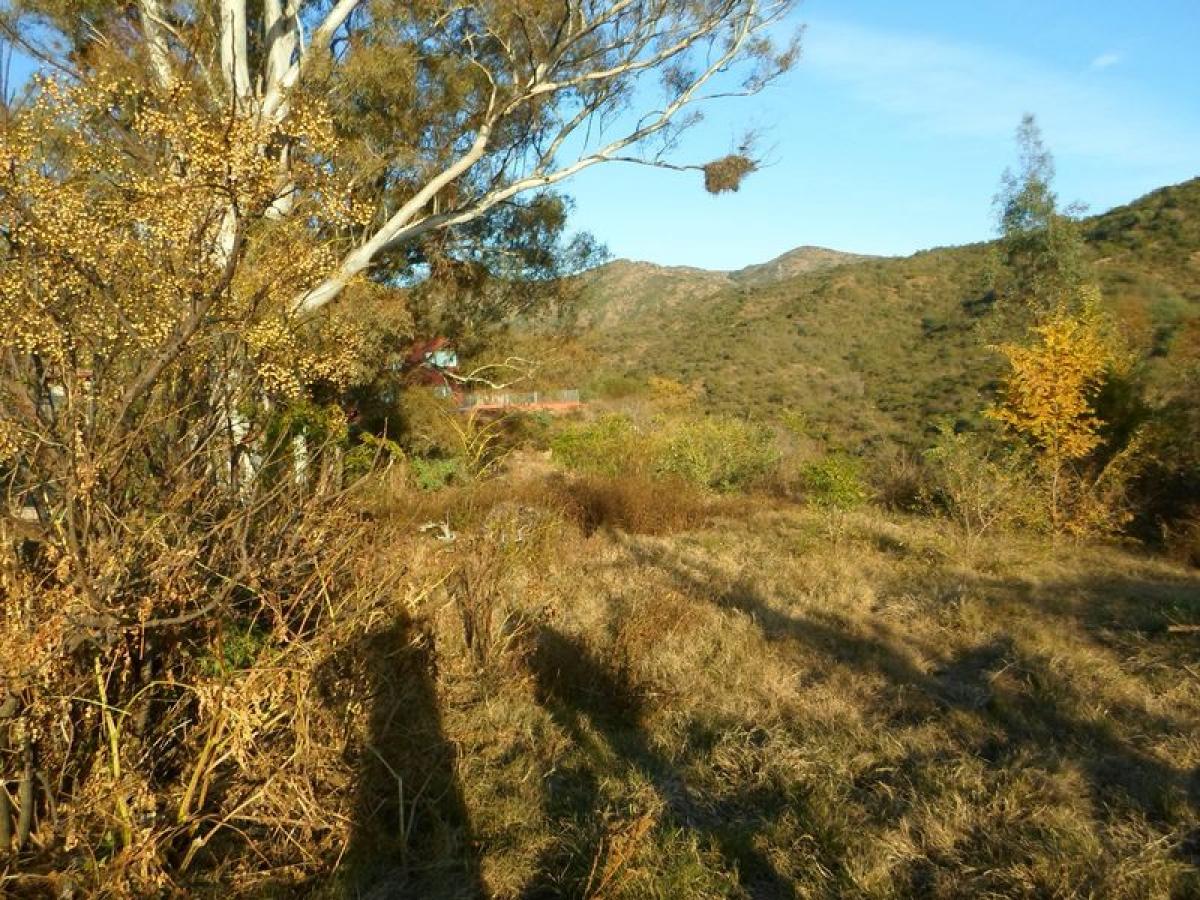 Terrain à Cordoba, Argentina No. 36511