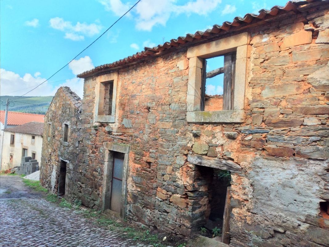 3 bedrooms House in Troviscal, Portugal No. 31475