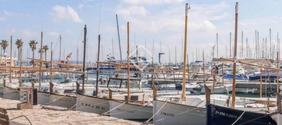 4 غرف نوم فيلا في Palma de Majorca, Spain رقم 189815 18