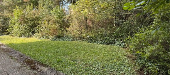 1 غرف نوم شقة في Schweinfurt, Germany رقم 322976 18