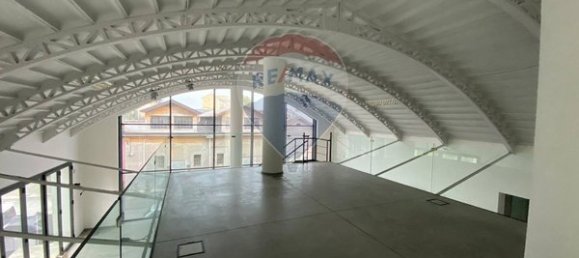 Коммерческая недвижимость с 12 комнатами в Брешиа, Италия № 73773 21