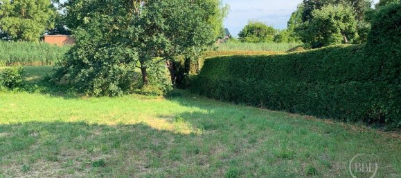 Terrain à Barnim, Germany No. 82998 6