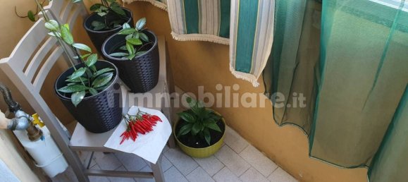 1 chambre Appartement à Venaria Reale, Italy No. 265397 4
