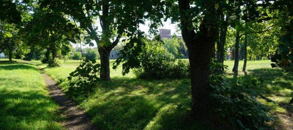  Land in Riesa, Germany No. 279101 19