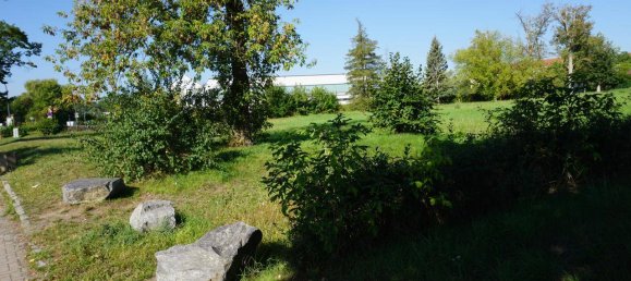  Land in Riesa, Germany No. 279101 41