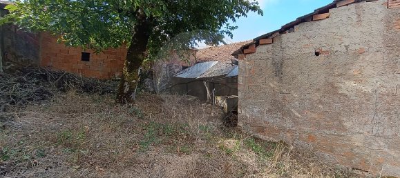 4 Schlafzimmer Haus in Ansiao, Portugal, Nr. 29192 12