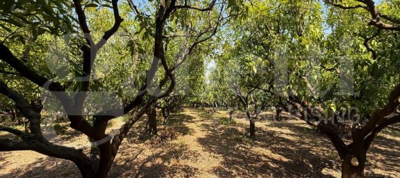 Grundstück in Angri, Italy, Nr. 334859 15