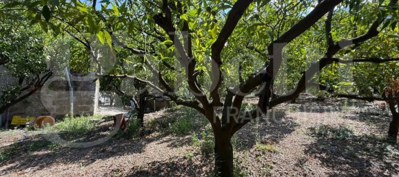 Grundstück in Angri, Italy, Nr. 334859 10