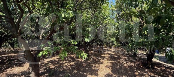 Grundstück in Angri, Italy, Nr. 334859 6