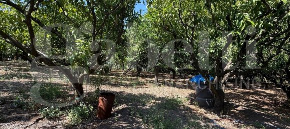 Grundstück in Angri, Italy, Nr. 334859 5