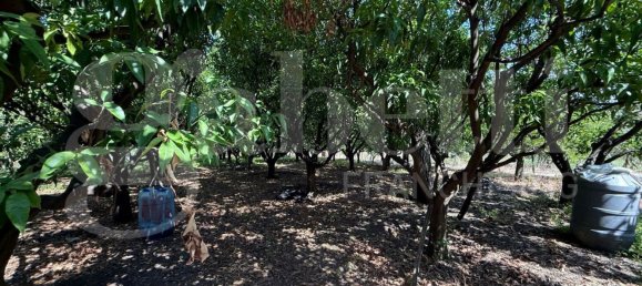 Grundstück in Angri, Italy, Nr. 334859 17