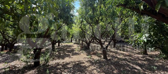 Grundstück in Angri, Italy, Nr. 334859 12