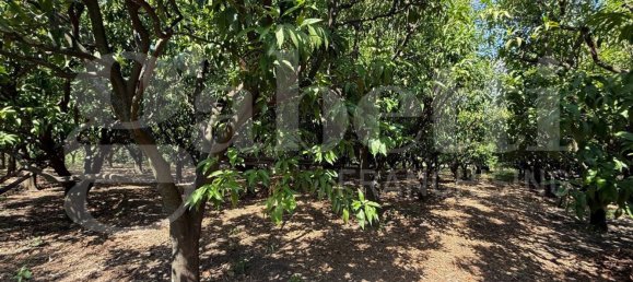 Grundstück in Angri, Italy, Nr. 334859 7