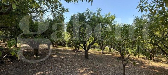 Grundstück in Angri, Italy, Nr. 334859 14