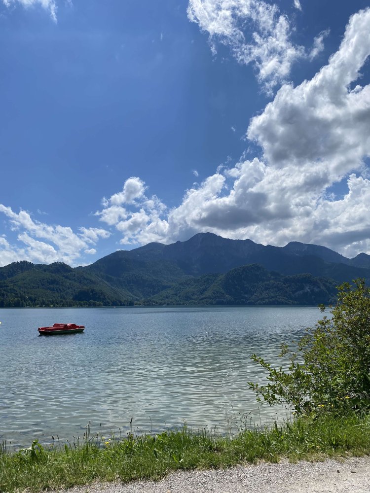  قطعة أرض في Bad Tolz-Wolfratshausen, Germany رقم 315088