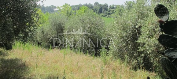 5 rooms Villa in Casciana Terme Lari, Italy No. 234237 48