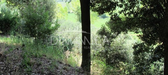 5 rooms Villa in Casciana Terme Lari, Italy No. 234237 50