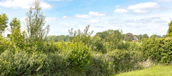 8 rooms Bungalow in Schleswig-Holstein, Germany No. 29229 7