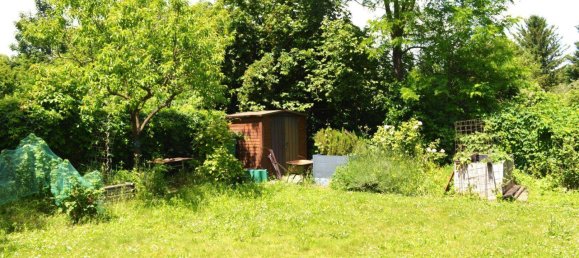 Bungalow de 2 divisões em Lassee, Austria N.º 108905 7