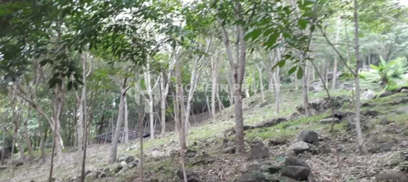 Terra em Patong, Thailand N.º 60912 5