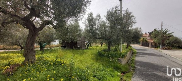 2 bedrooms House in Amantea, Italy No. 232626 23