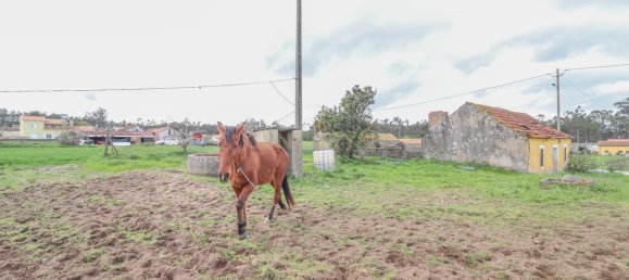 2 Schlafzimmer Villa in Ferreira a Nova, Portugal, Nr. 186033 24