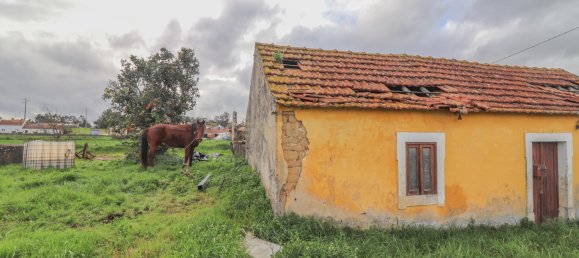 2 Schlafzimmer Villa in Ferreira a Nova, Portugal, Nr. 186033 31