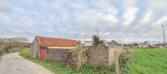 2 Schlafzimmer Villa in Ferreira a Nova, Portugal, Nr. 186033 38
