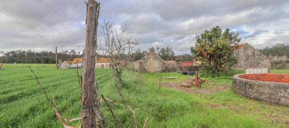 2 Schlafzimmer Villa in Ferreira a Nova, Portugal, Nr. 186033 42