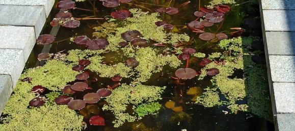 Casa T4 em Nordfriesland, Germany N.º 81903 16